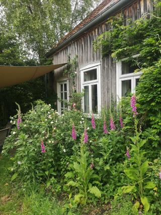 Gemeinschaft Rosenstraße